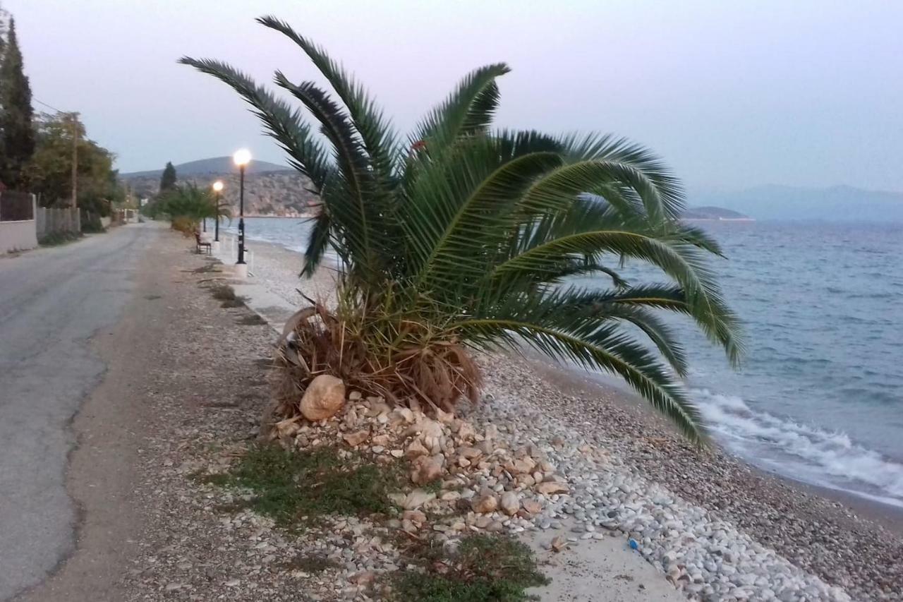 Family House Near The Beach Drepano-Nafplio Dış mekan fotoğraf